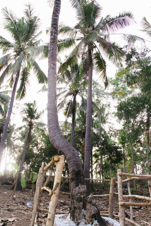 Hotel Nyuh Bengkok Tree House Batununggul Exterior foto