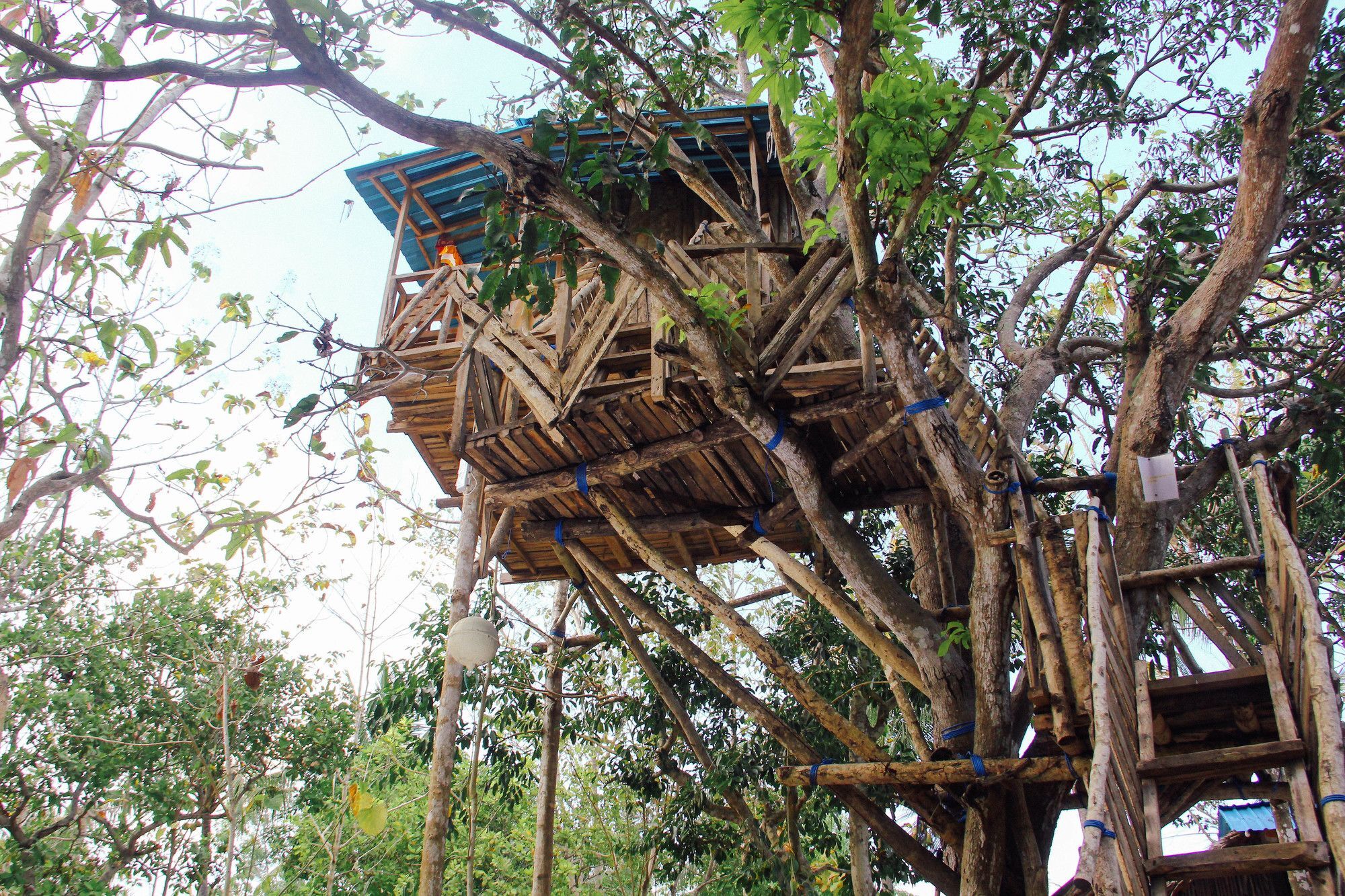 Hotel Nyuh Bengkok Tree House Batununggul Exterior foto
